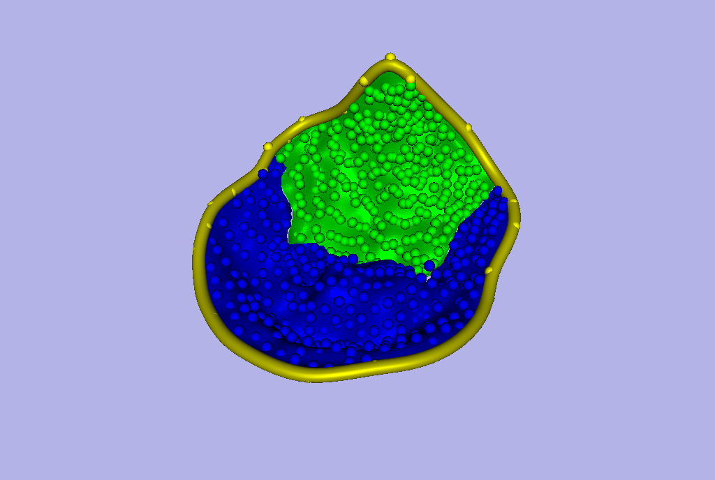 NURBS-Model