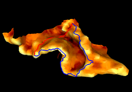 Paths of minimal negative and maximal positive curvature.