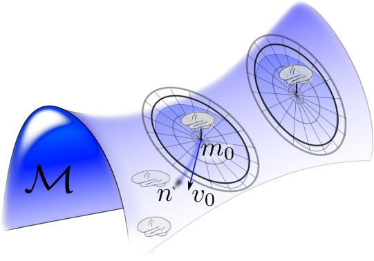 A cartoon depiction of a shape space